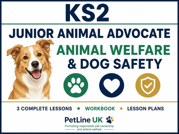 KS2 Animal Welfare Act & Pet Safety