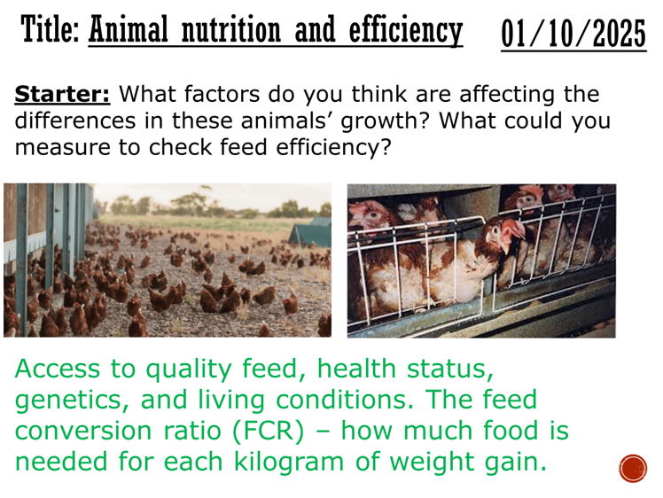 Animal Nutrition and feed efficiency