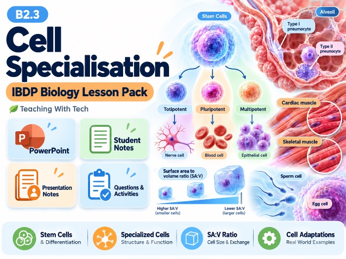 IB Biology B2.3 Cell Specialisation | Complete Lesson | Slides, Student Notes & Exam Questions (2025