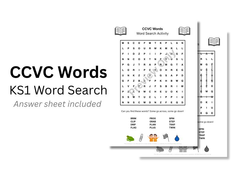 CCVC Words KS1 Word Search Activity
