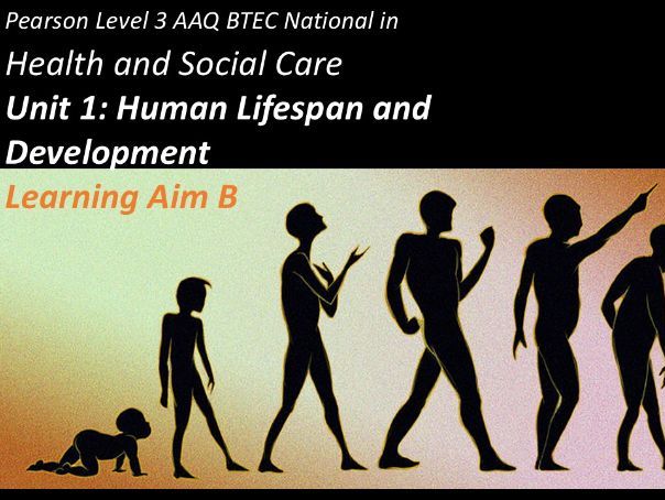 AAQ Unit 1: Human Lifespan and Development: Learning Aim B full teaching package