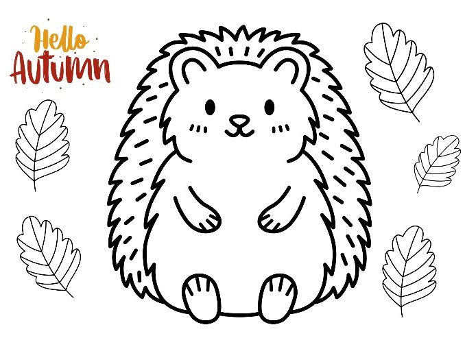 Autumn Colouring and Painting Sheets – 7 Autumn Animals & Objects – EYFS KS1