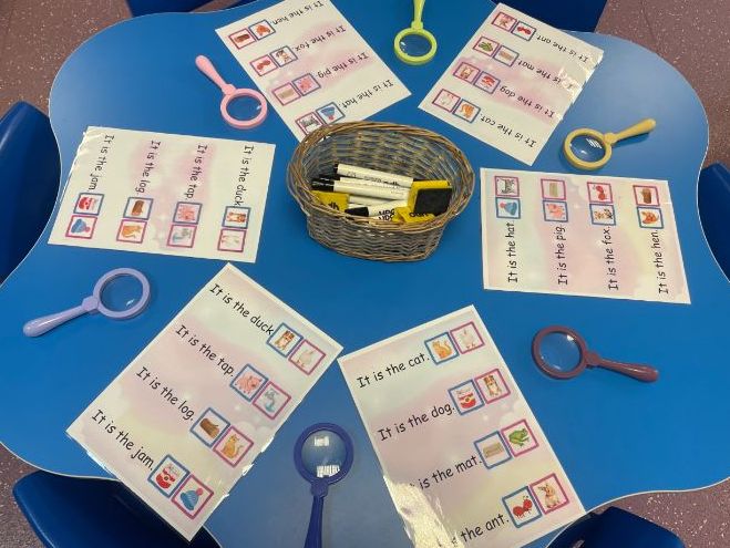 EYFS Simple Sentences Reading Activity
