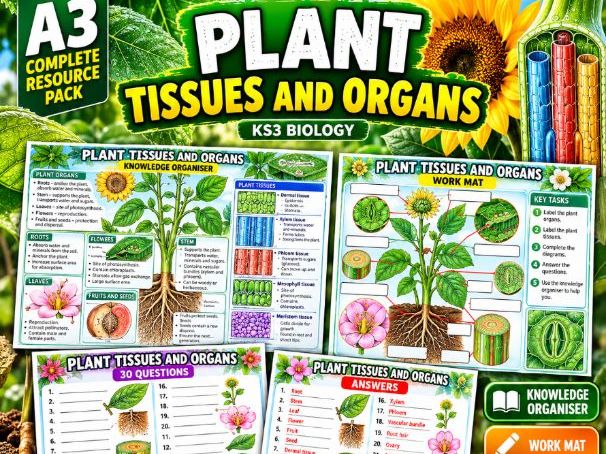 GCSE Biology | Plant Tissues and Organs | Knowledge Organiser, A3 Work Mat, 30 Questions and Answers