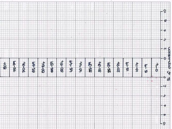 India and UK Population Pyramid Drawing Activity