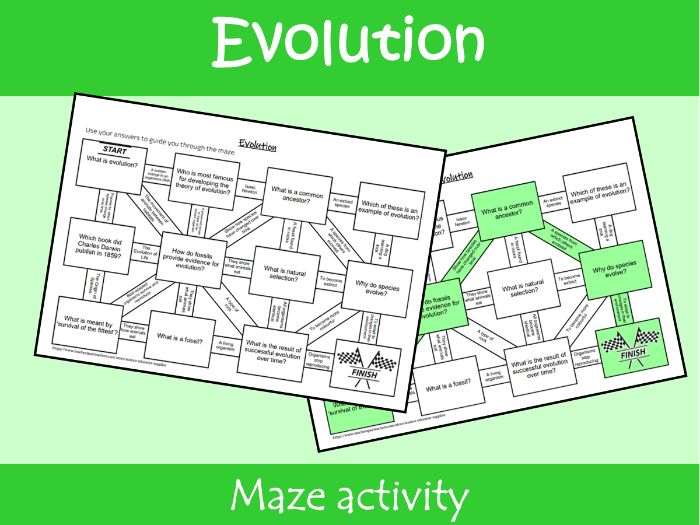 Evolution Maze Worksheet | KS2–KS3 Science Revision Activity