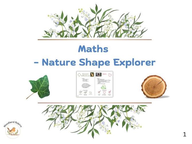 Maths - Nature Shape Explorer Activity