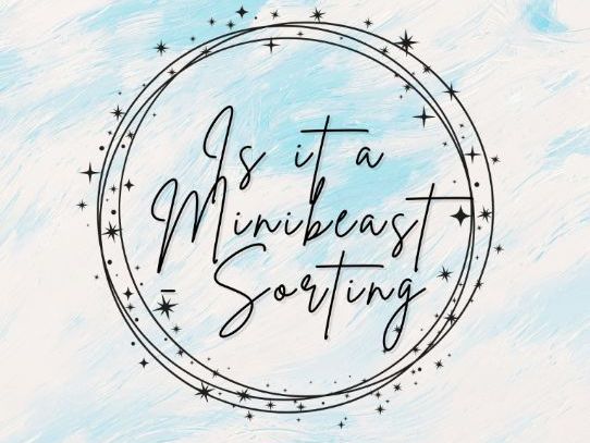 Is it a Minibeast - Sorting