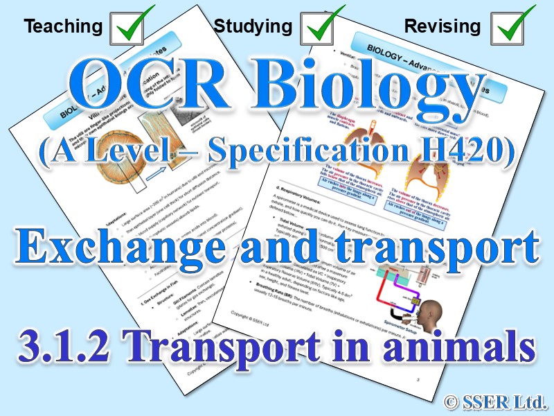 BIOA_OCR Topic Notes: 3.1.2 Transport in animals