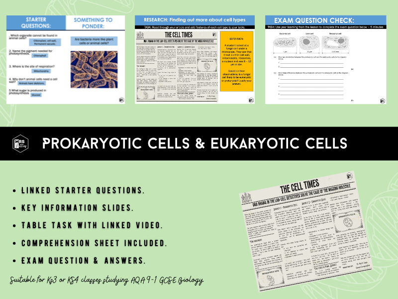 Prokaryotic and Eukaryotice cells (complete lesson)