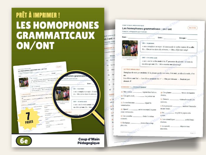 French Homophones on / ont Worksheet Grade 6 Grammar | Les homophones on / ont
