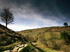 Wuthering Heights - Emily Brontë (PPT)