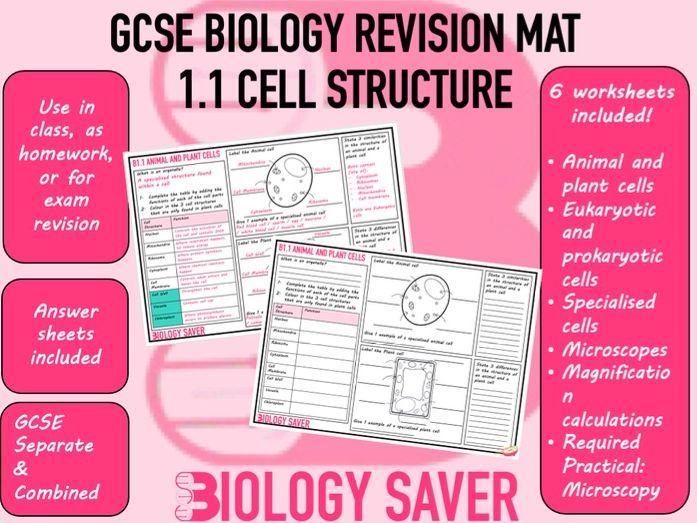 GCSE Biology Revision Bundle - 1.1 Cell Structure | Teaching Resources