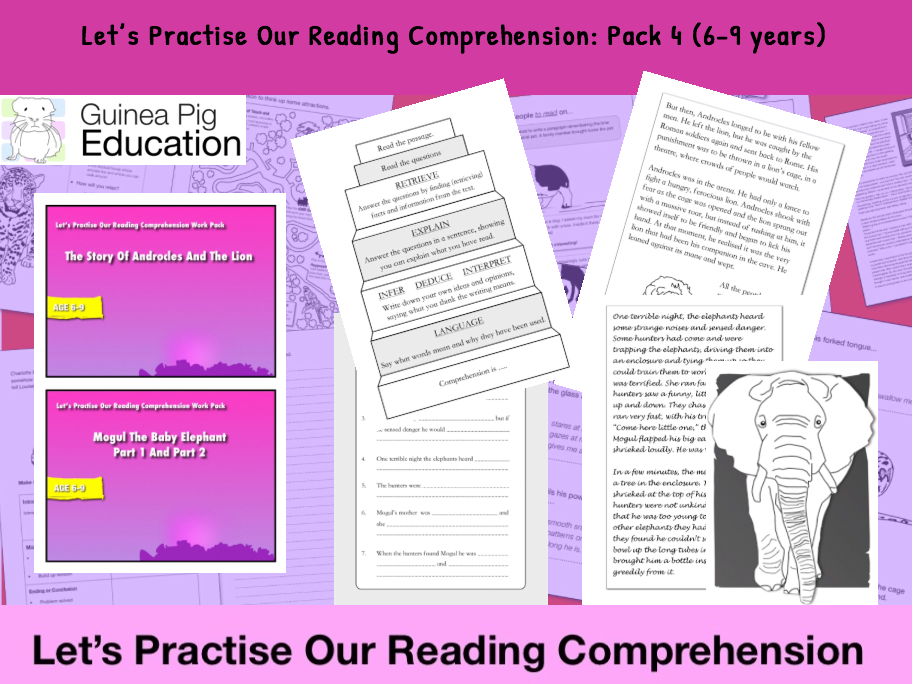 Reading comprehension year 4