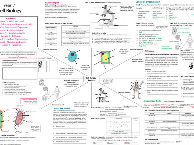 KS3 Cell Biology and Human Body Systems Bundle / Worksheets and Revision Pack with Answer sheets