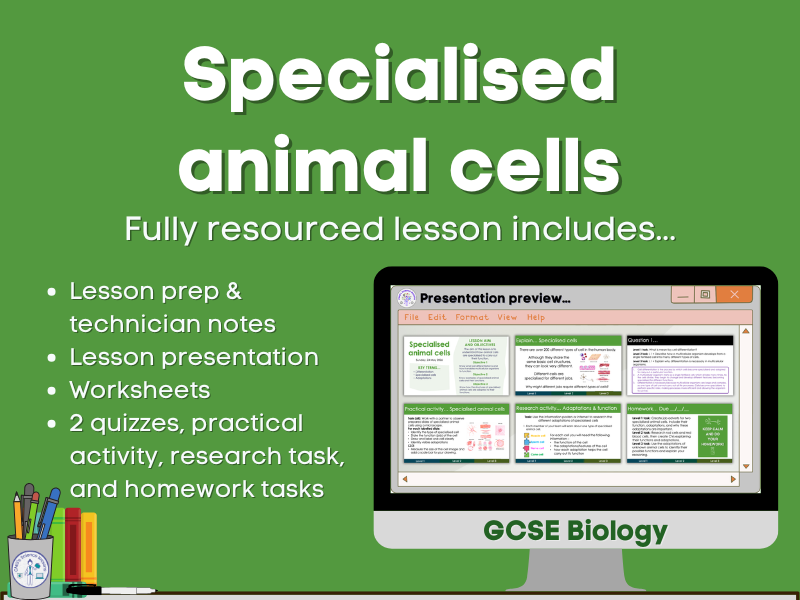 Specialised animal cells