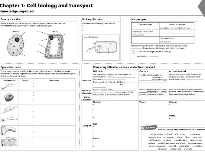 AQA GCSE Biology Animal and Plant Cells Worksheet(Paper 1 exam Questions)
