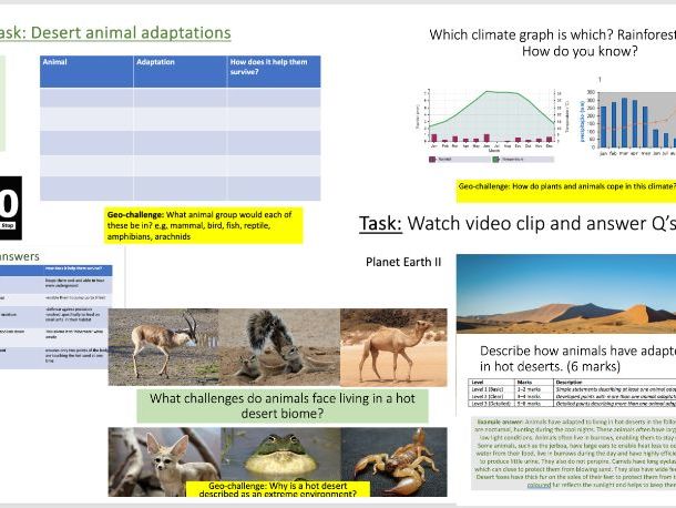 Weather and Climate GCSE Deserts & Animal Adaptations L2