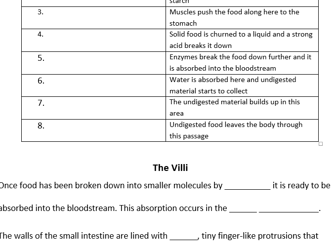 The Villi and Digestive System Support