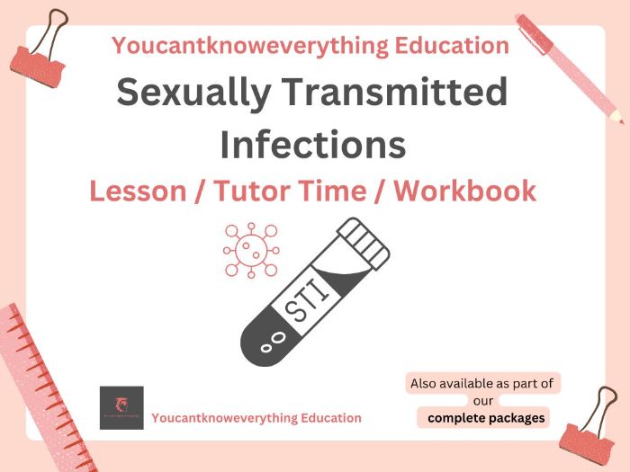 STI / Sexually Transmitted Infections Pupil Workbook