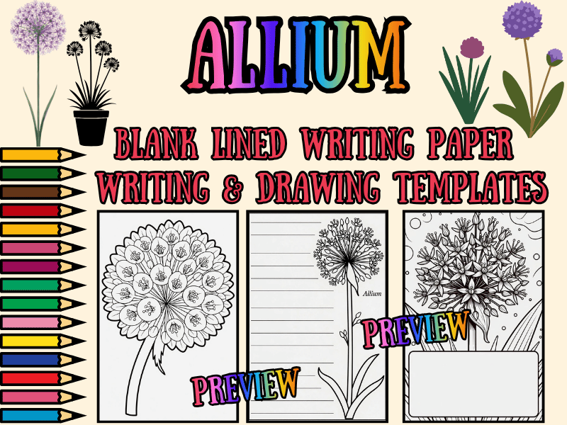 Allium Flower Coloring Pages & Lined Writing Paper Templates | NO PREP Printable