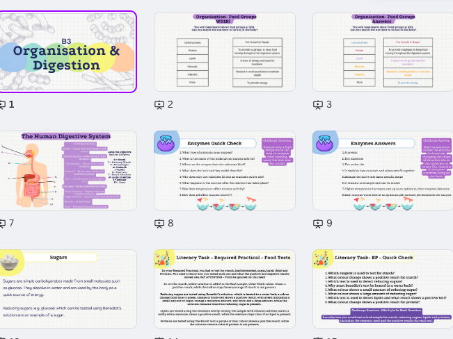 B3/Revision Lesson/ Organisation/Digestive System/Biology/GCSE/AQA/Combined Science