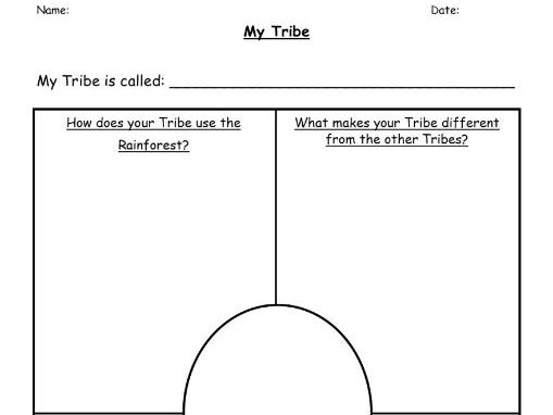 My Tribe - Rainforest