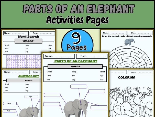 Parts of an Elephant – Labeling, Coloring, Word Search & Fun Activities