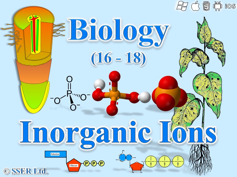 BioA_3.1.8 Inorganic Ions