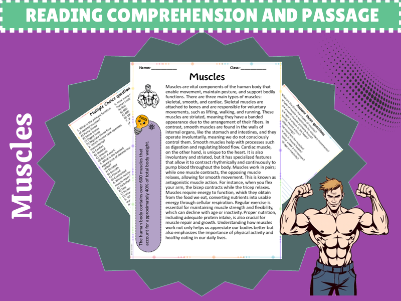 Explore Muscles: Engaging Reading Passage with Interactive Questions