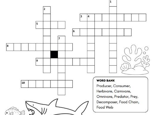 Food Chains and Food Webs Crossword | Science Vocabulary Worksheet