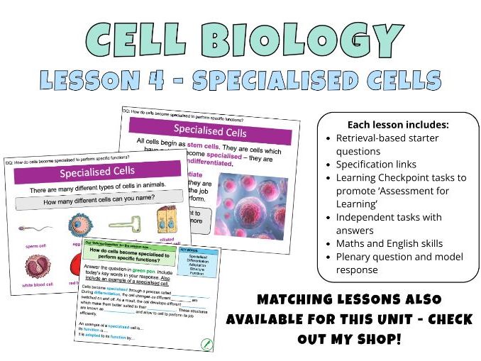 GCSE Cell Biology - Specialised Cells Complete Lesson