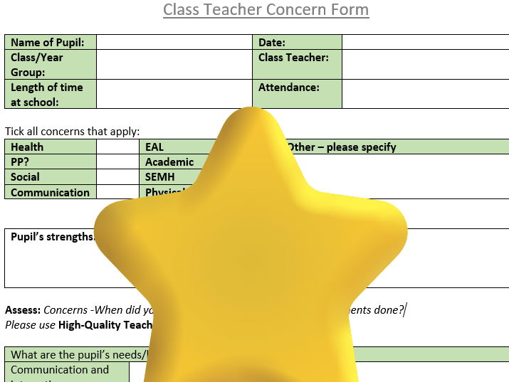 Class teacher SEND concern form