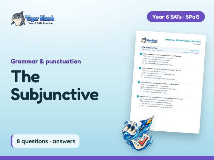 The Subjunctive Worksheet: Year 6 SATs SPaG