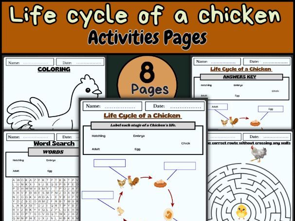 Chicken Life Cycle/Life Cycle Worksheets/Farm Animals