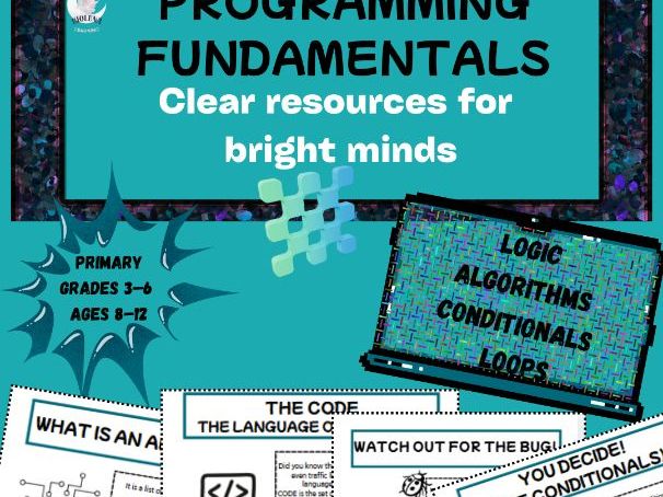 Unplugged Coding & Computational Activity