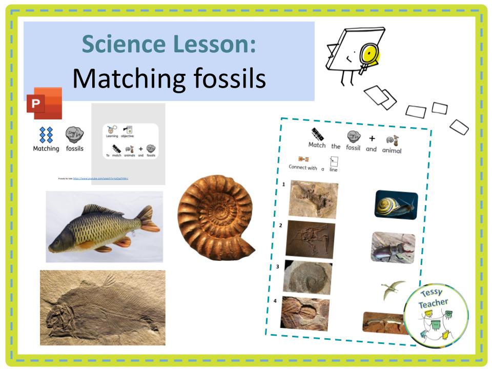 SEN Science Lesson Matching fossils and animals Teaching Resources
