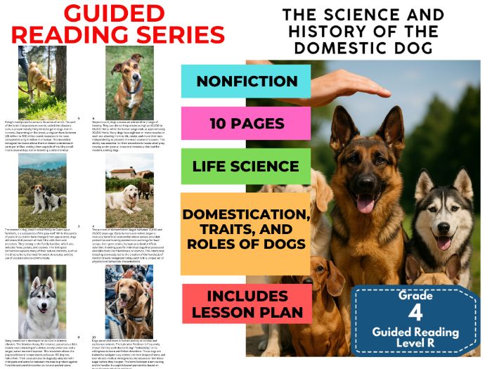 Year 5 Guided Reading Level R History of the Domestic Dog with Lesson Plan