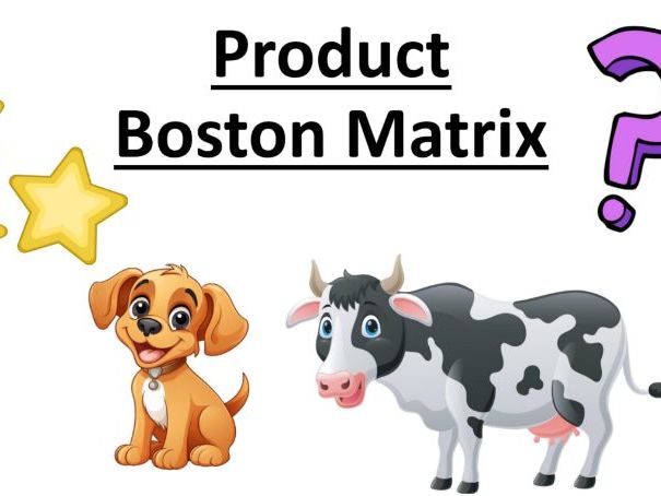 Marketing Strategy (Edexcel A Level Business 1.3.5)