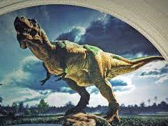 Using Non-Fiction (KS1): T-Rex (Video Based Activity)