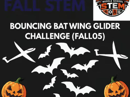 Bat Wing Glider Physics STEM Lab FALL05