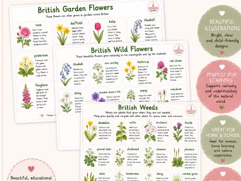 Wild and garden flowers