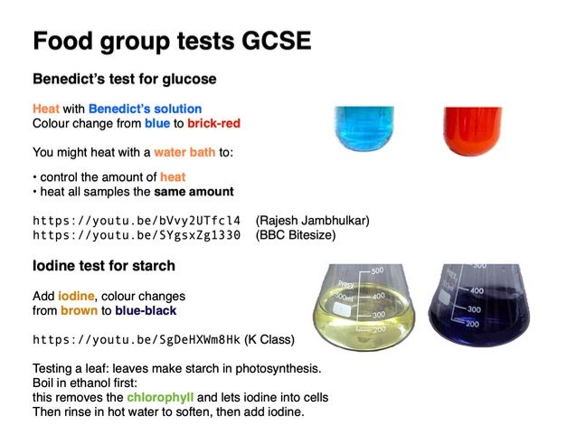 Food group test colour change notes, AQA 9-1 GCSE biology