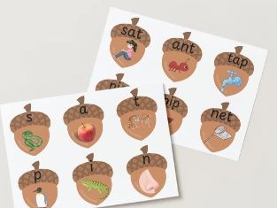 Autumn Acorn read and match