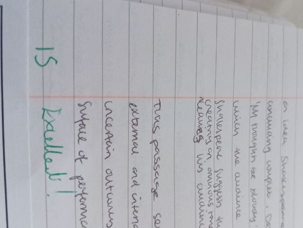 A-level OCR English Literature: Hamlet essay
