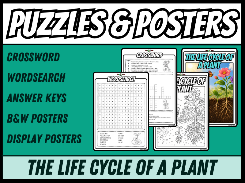 The Life Cycle Of A Plant | Crossword, Wordsearch, Colouring Posters | Year 3 and 4