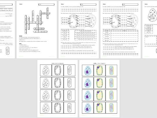 B1 Cells / Subcellular Structures - Worksheets