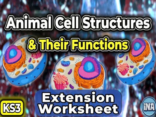 Animal Cell Structures and Their Functions - KS3 Biology Extension Pack