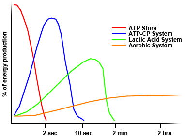 BTEC SPORT L3 UNIT 1 ANATOMY & PHYSIOLOGY: ENERGY  SYSTEMS TEACHER POWERPOINT