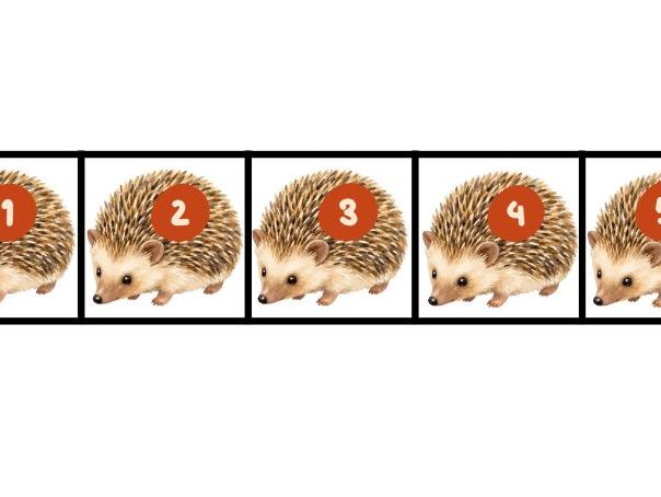 Hedgehog and Leaf Number and Quantity Matching EYFS Maths Nursery and Reception